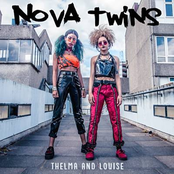 Thelma and Louise cover