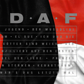 DAF – D.A.F.