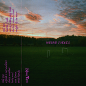 Weird Fields