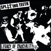 Legacy of Cruciality