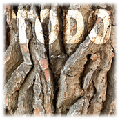 Todo