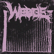 Wedge