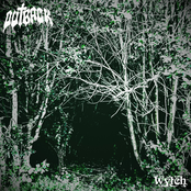 Wytch