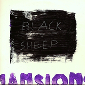 Black Sheep