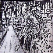Demo II