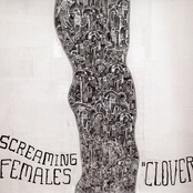 Clover cover