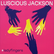 Ladyfingers cover