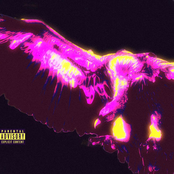 WORLDWIDE CASUALTY