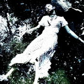 NOVULENT – DEAR DIARY