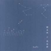 雑木林と流星群
