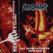 The Inexperienced Butcher