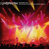 Fee (Live)