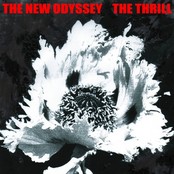 The New Odyssey