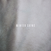 Winter Skins