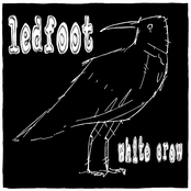 White Crow