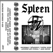Spleen