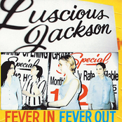 Fever In Fever Out cover