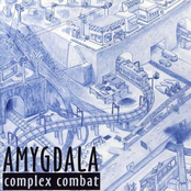 Complex Combat