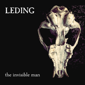 the invisible man