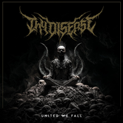 United We Fall