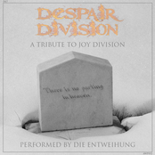 Despair Division: A Tribute to Joy Division