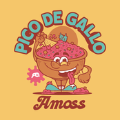 Pico De Gallo