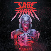 Cage Fight – Pig