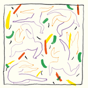 Para Bailar