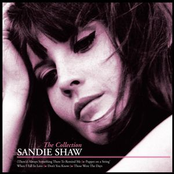 The Collection cover