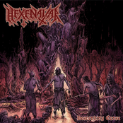 Descending Curse