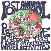 Perform the Most Curious Water Activities