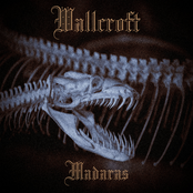 Madaras