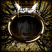 Silencio Acústico
