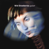 Quiver cover
