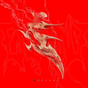 Flesh