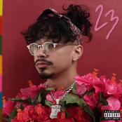 23