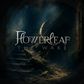 The Wake