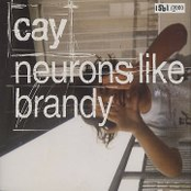 Neurons Like Brandy cover