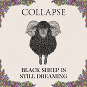 BLACK SHEEP IS STILL DREAMING