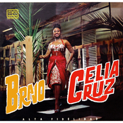 Bravo cover
