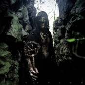 Cryptids