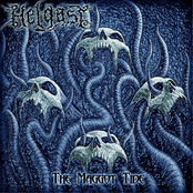 The Maggot Tide