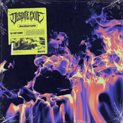 Incinerate