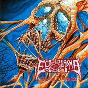 Skeletal Lifeforms