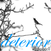 A Grey Cell