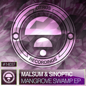 Mangrove Swamp EP