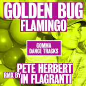 Flamingo Remix EP