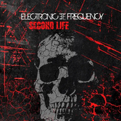 Second Life