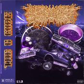 PeelingFlesh – The G Code