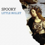 Little Bullet